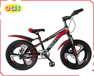 BICYCLE 18/20