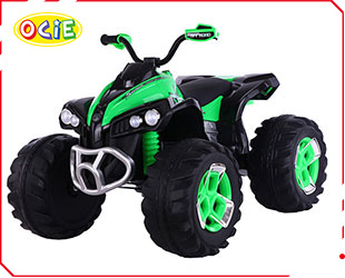 RECHARGEABLE CAR W/RC
