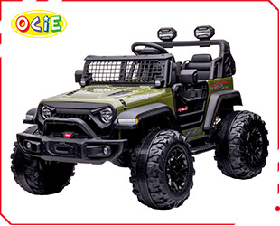 RECHARGEABLE CAR W/ RC