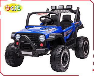 RECHARGEABLE CAR R/C