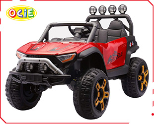 RECHARGEABLE CAR W/ RC