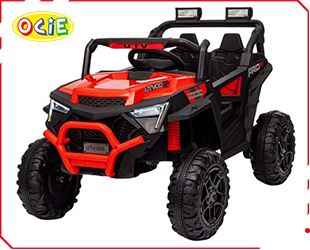 RECHARGEABLE CAR W/ RC