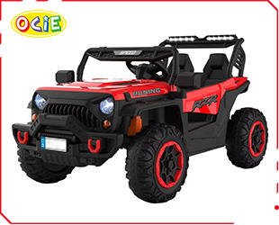 RECHARGEABLE CAR W/ RC