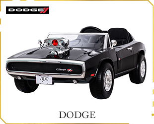 RECHARGEABLE CAR LICENSE R/C