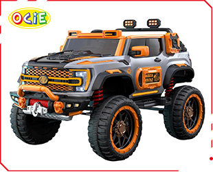 RECHARGEABLE CAR W/ RC