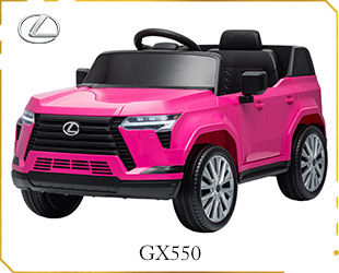 RECHARGEABLE CAR LICENSE R/C