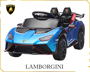 RECHARGEABLE CAR LICENSE R/C
