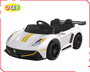 RECHARGEABLE CAR