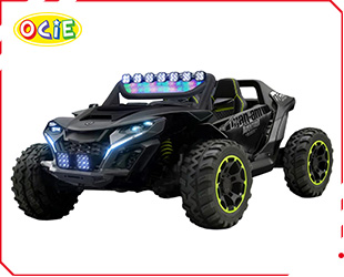 RECHARGEABLE UTV R/C