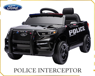 RECHARGEABLE CAR LICENSE R/C