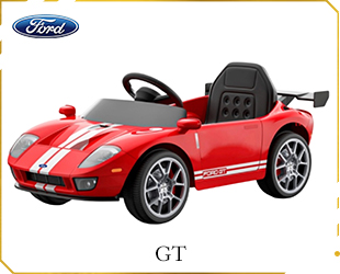 RECHARGEABLE CAR LICENSE R/C