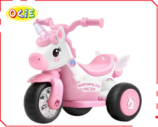 RECHARGEABLE MOTORCYCLE