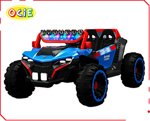 RECHARGEABLE UTV R/C
