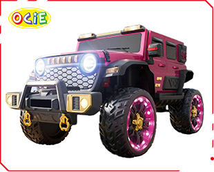 RECHARGEABLE UTV R/C