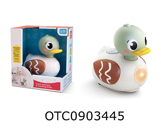 B/O DUCK 