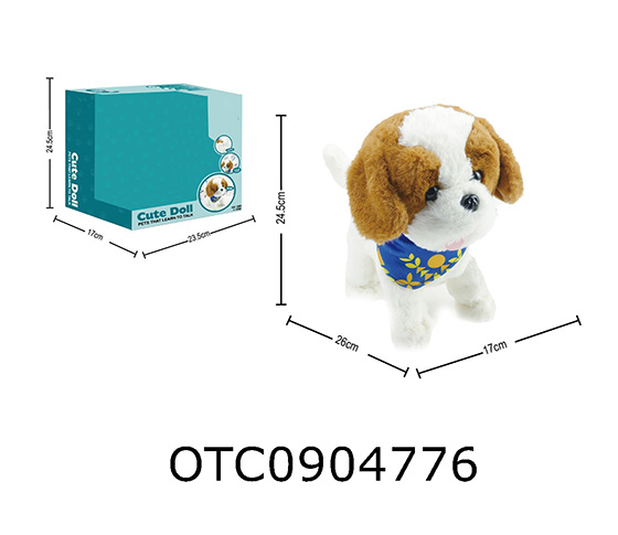 B/O PET