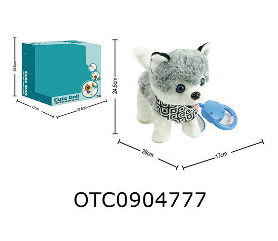 B/O PET