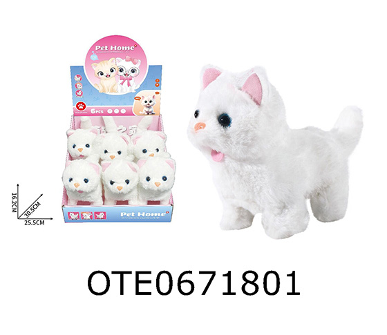 B/O CAT