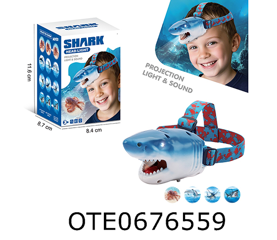 HEAD LIGHT