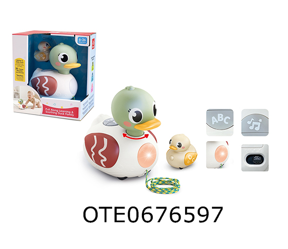 PULL&PUSH DUCK