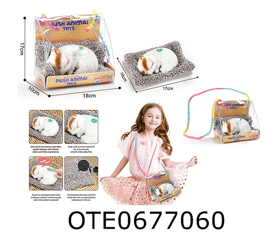 PET SET