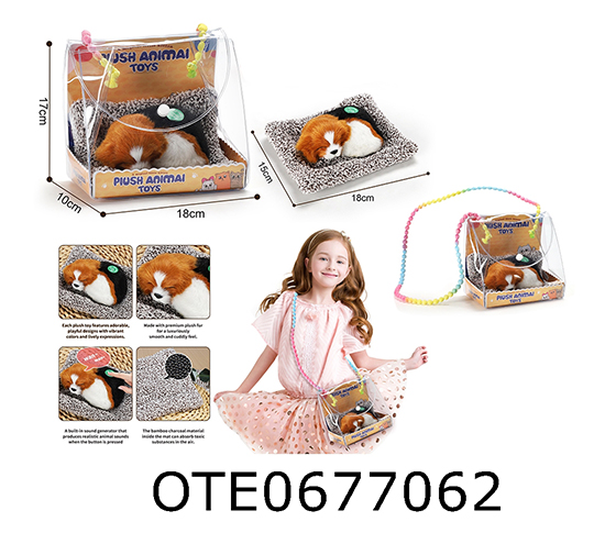 PET SET