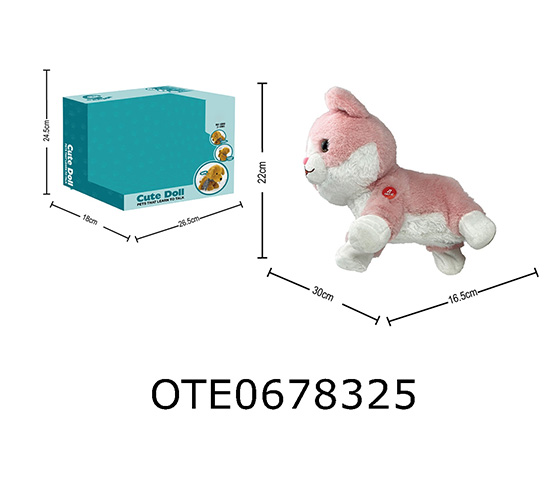 VOICE COMMANDS FOR PET