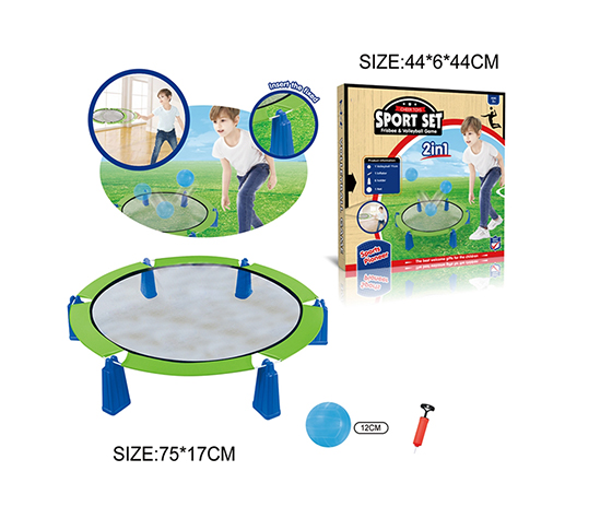 2 IN 1 PINBALL / FRISBEE