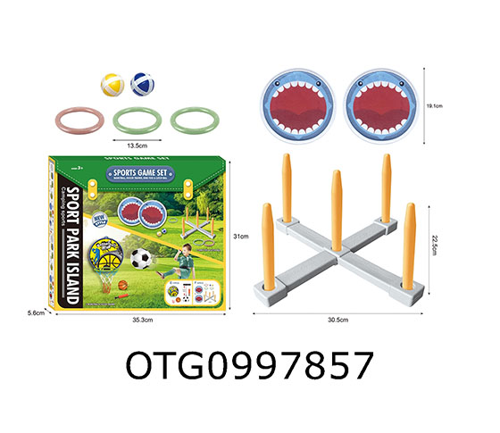 SPORTS BALL TOYS
