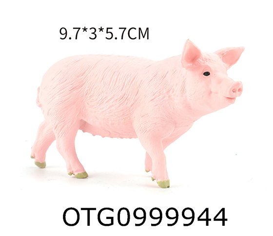 PIG