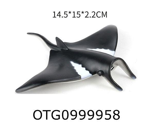 MANTA RAY