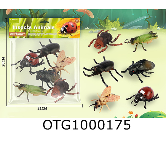 INSECT