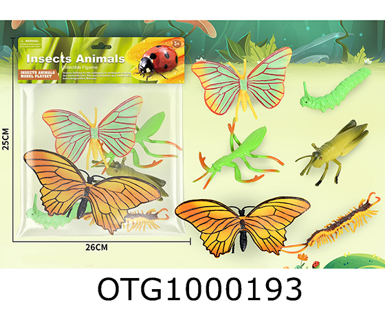 INSECT