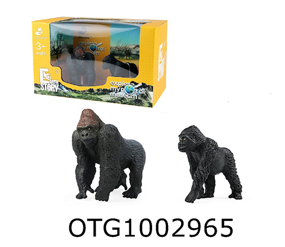 CHIMPANZEE 