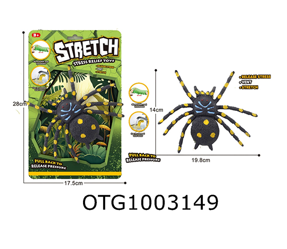 SPIDER