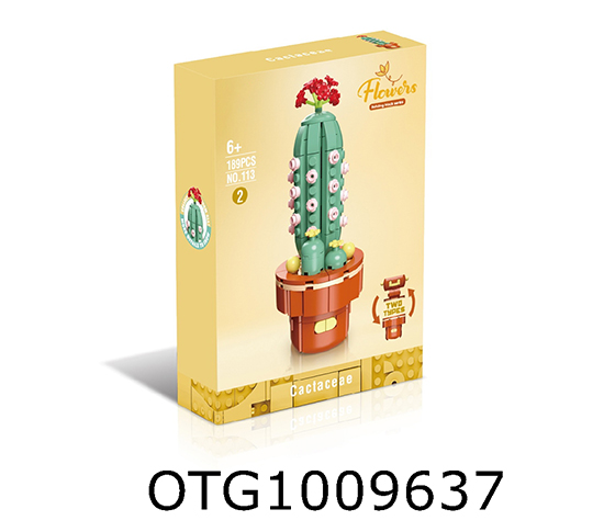 BLOCKS