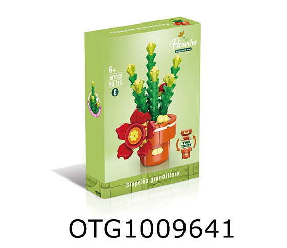  BLOCKS