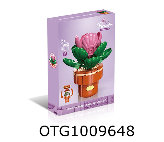 BLOCKS