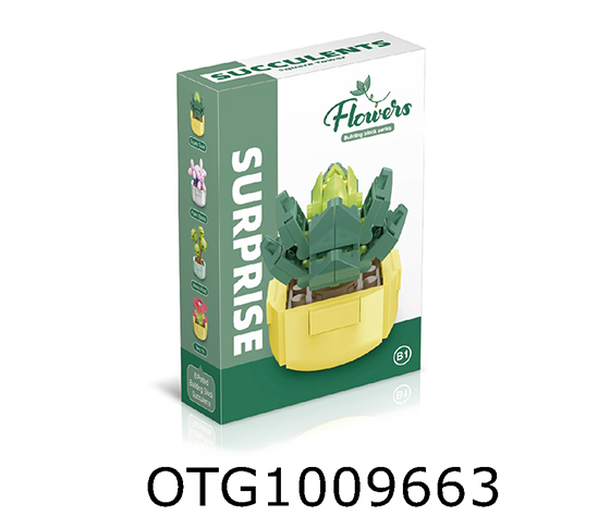  BLOCKS