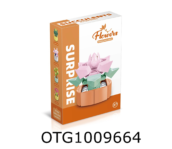 BLOCKS