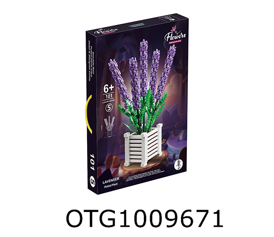  BLOCKS