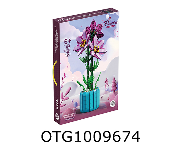 BLOCKS