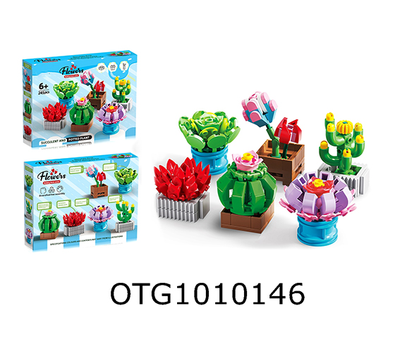 BLOCKS