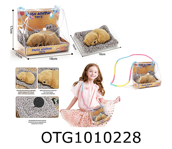 PET SET