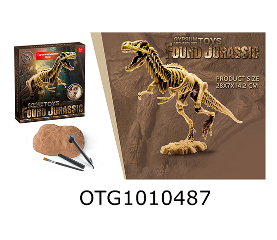 DINOSAUR SKELETON
