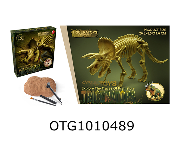 DINOSAUR SKELETON