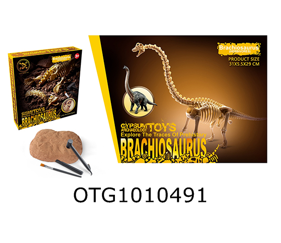 DINOSAUR SKELETON